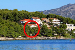 Apartments by the sea Lumbarda, Korcula - 9172